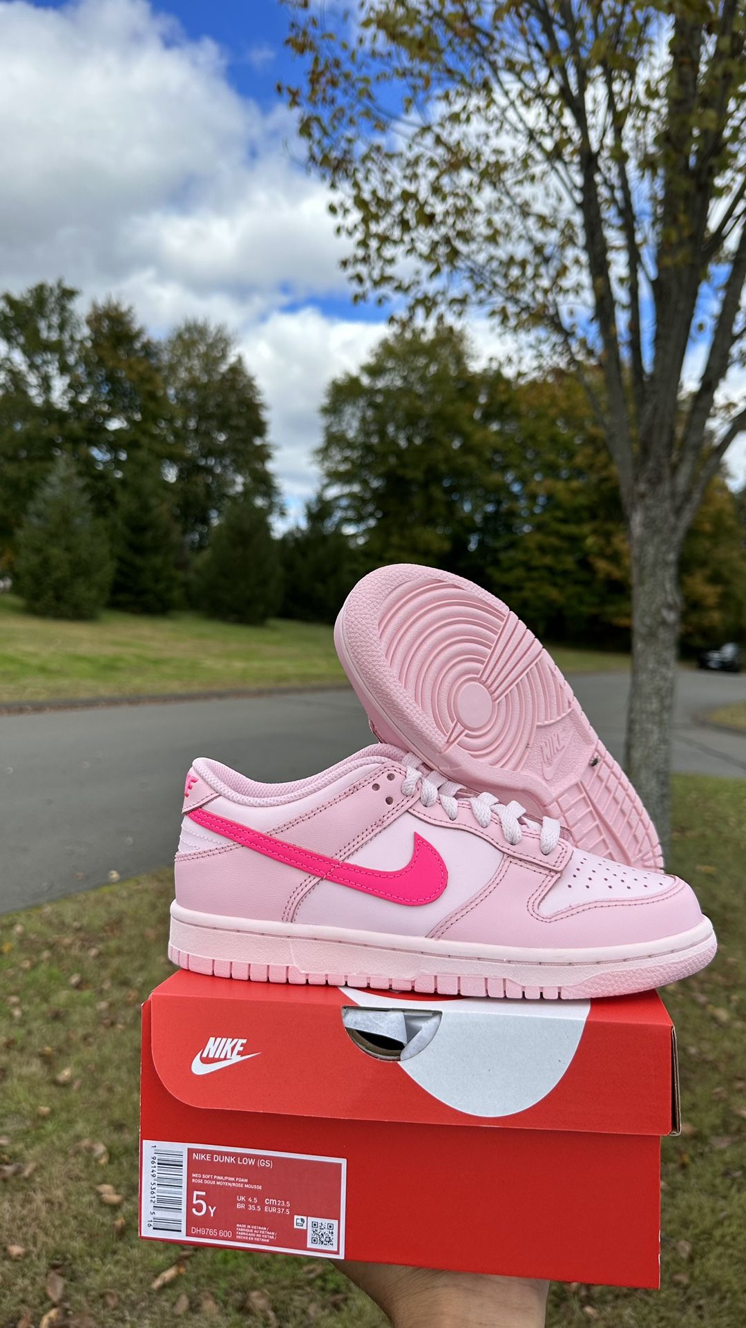 Nike Dunk Low Triple Pink Pres-school Only 11c To 2.5Y