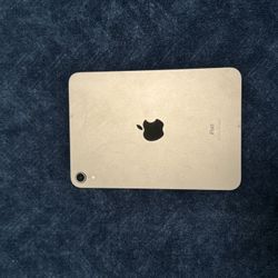 iPad mini