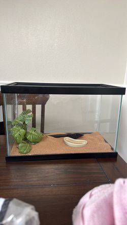 Reptile case and bedding