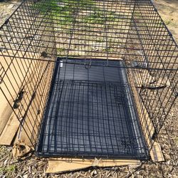 Big Case Dog  New In Box