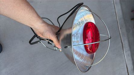 Hanging incubation light