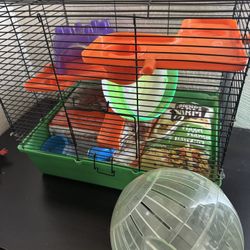 Hamster Cage ,food, Treats, bedding,ball,wheel, Igloo