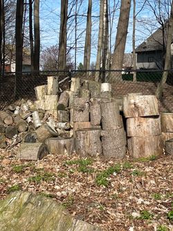 Wood      FREE
