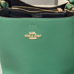 Coach  bag & Wallet 