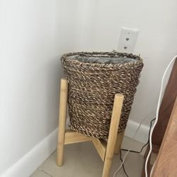 Tree And Flower Pots