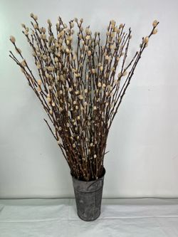 Real Pussy Willow Bundle with Metal Bucket – Rustic Home Decor
