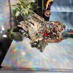 Dragon Art Made Of Rocks Resin And More! Beautiful Resin Rose In Mouth