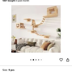 Cat Wall Shelves
