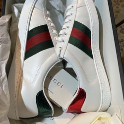 Gucci Sneakers
