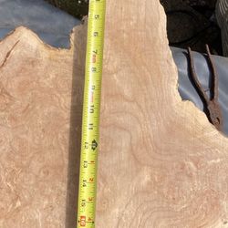 Birdseye Maple Burl Sanded five years dry