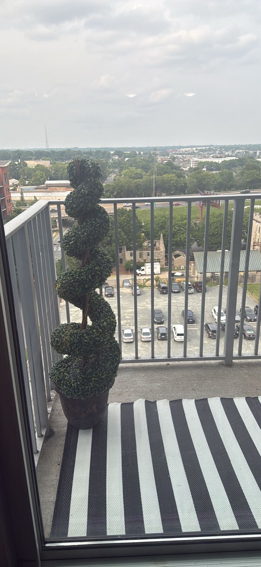 Outdoor Tree