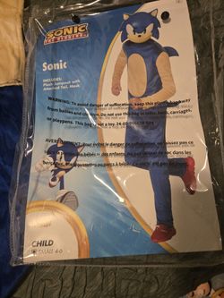 Sonic Costume