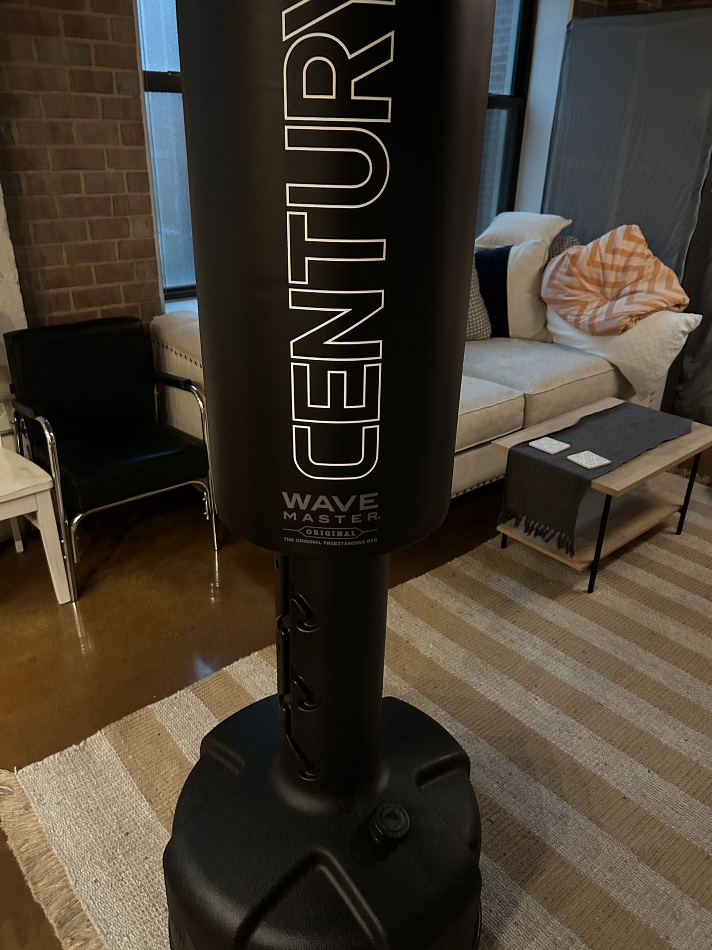 Century Punching Bag (Price Negotiable)