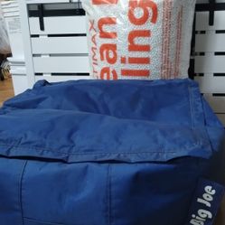 Big Joe Cushion  +  Filler