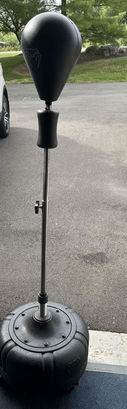 Standup Punching Bag
