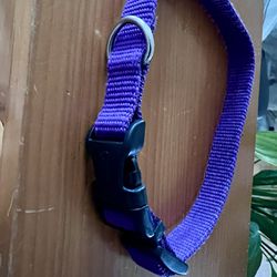 NEW Purple Nylon Pet Collar