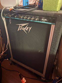 Peney Speaker