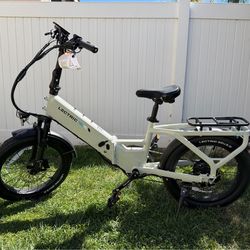 Foldable Lectric E-bike