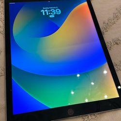 iPad Pro
