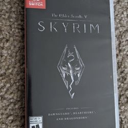 The Elder Scrolls V SKYRIM  Nintendo Switch Game 