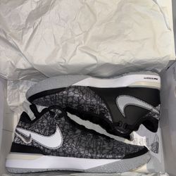 Nike Zoom Lebron Nxxt Gen Size 11 BRAND NEW