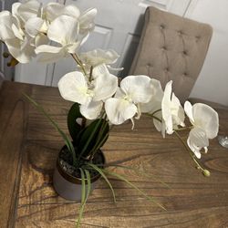 Counter Flower