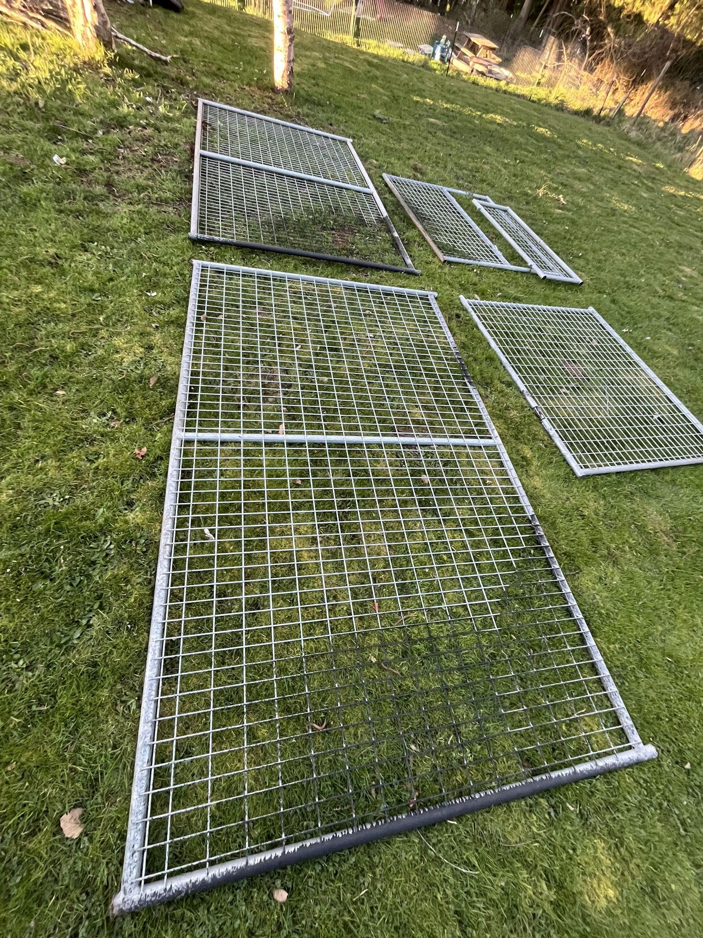 Dog Kennel