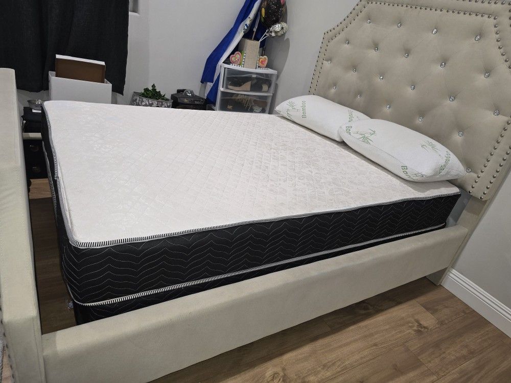 Full Size Mattress and Box Spring W/ Bed Frame