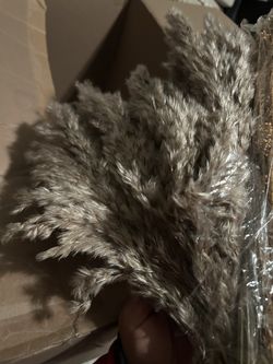 110.00 For All, Just for The Big Feathers I Paid Over 150.00, You Are Getting Small Glass Deco With Dry Grass(Boho) A Lot Of New Dry Flowers And More