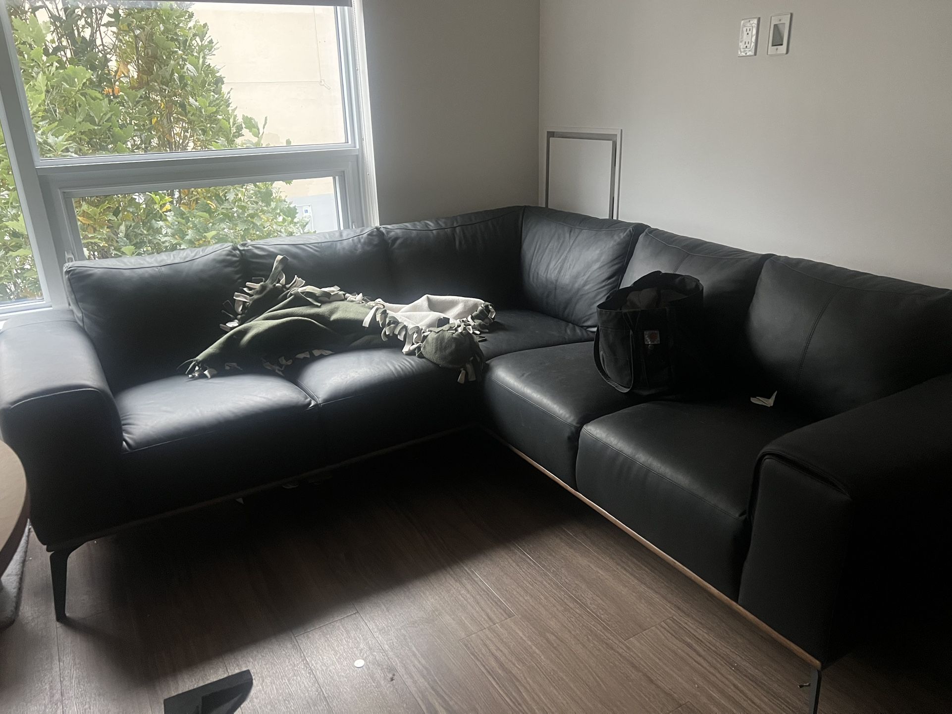 Leather couch