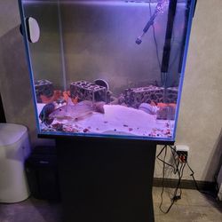 65g Square Rimless Fish Tank