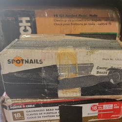 Assorted Finish Nails