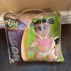 It’s A Girl Inflatable