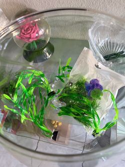 Fish bowl plastic