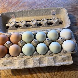 Dozen Colorful Organic Eggs