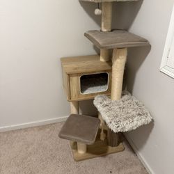 New Cat Post From Costco