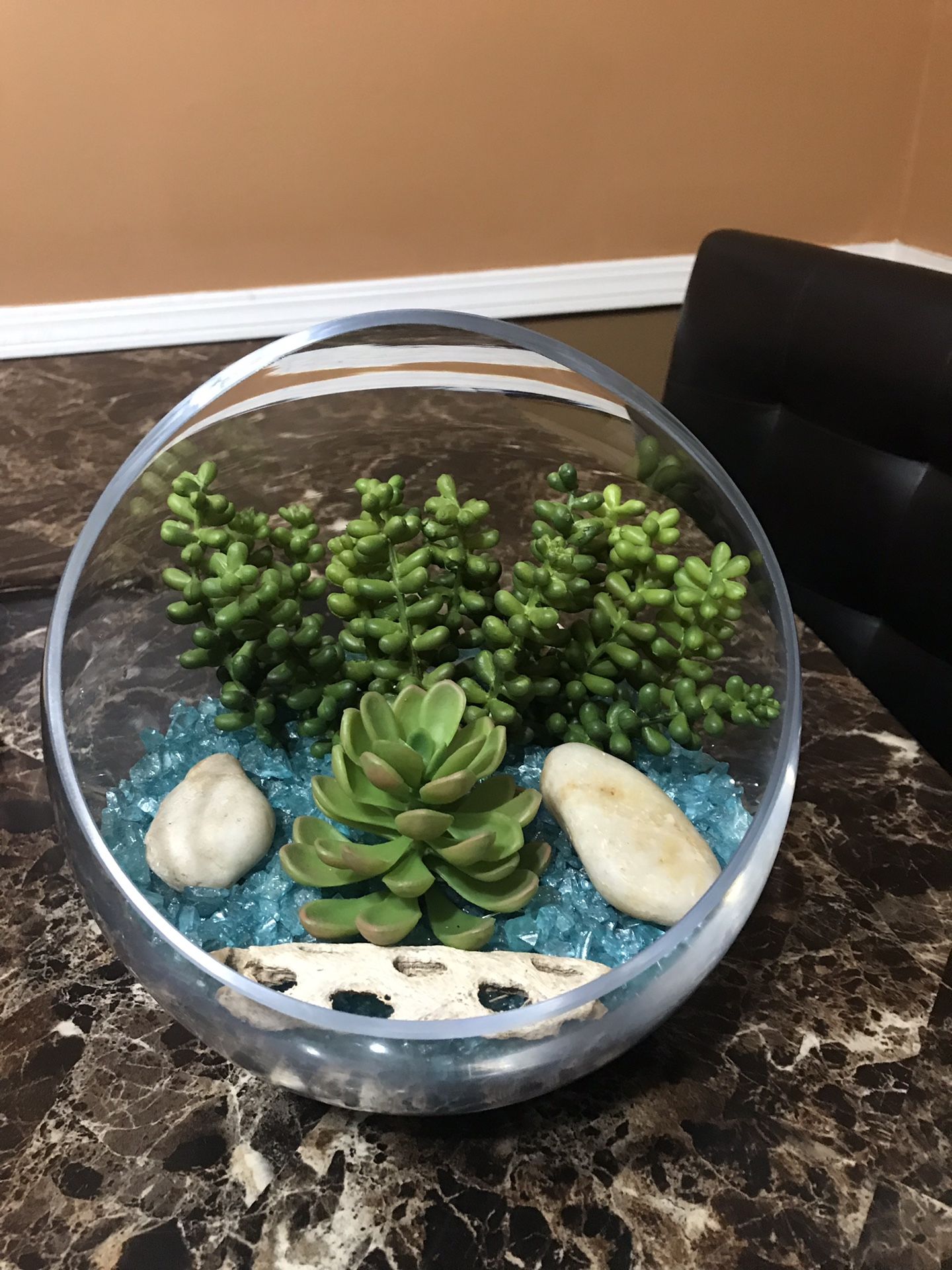 Succulent Terrarium with lights