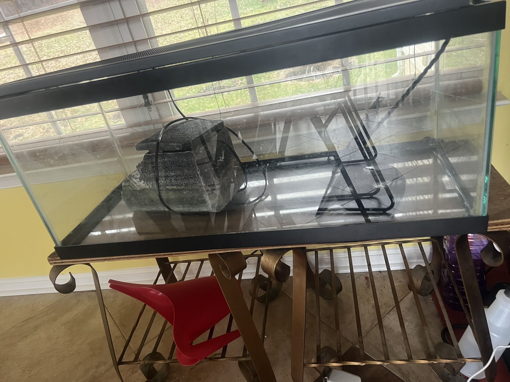 Fish/ Turtle Tank