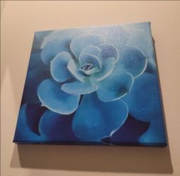 Beautiful Wall painting