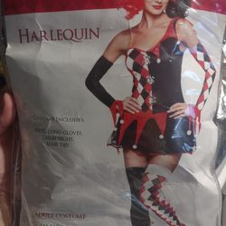 Harlequin Costume 