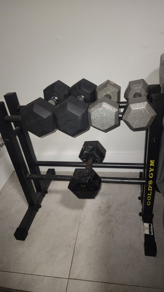 Gold’s Gym Dumbbell Rack + Weights Set – Great Condition