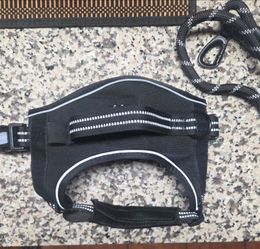 Dog Harness and Leash