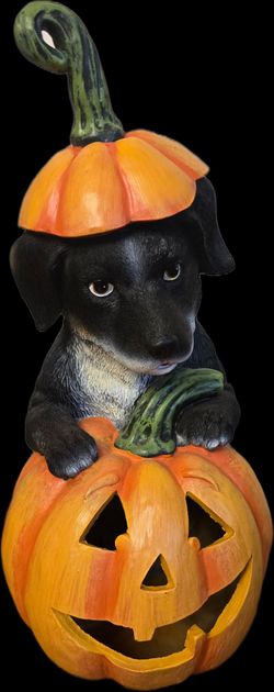 Halloween Dog Jack o Lantern light up statue