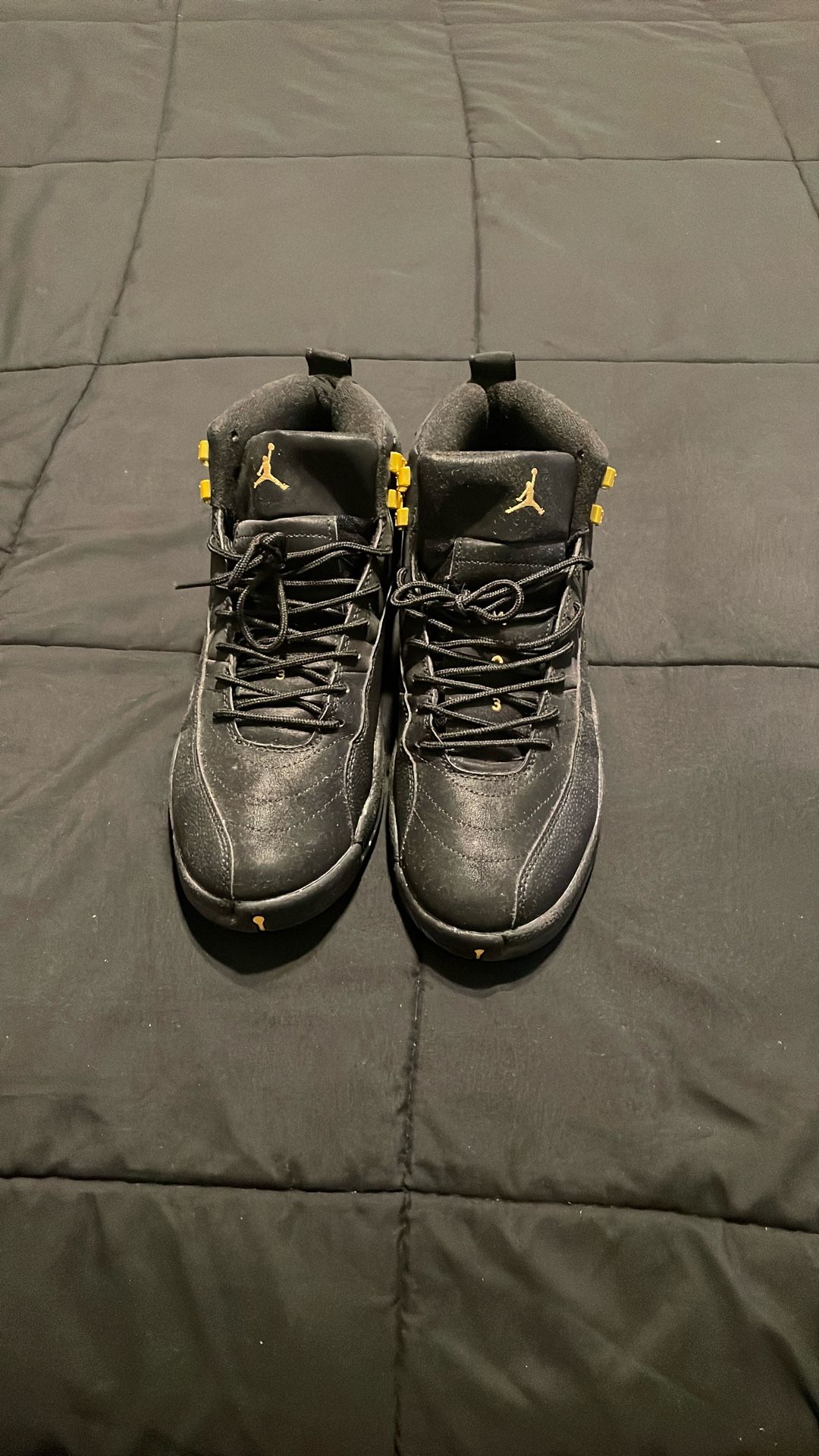 Jordan 12s Black Taxi Size 13