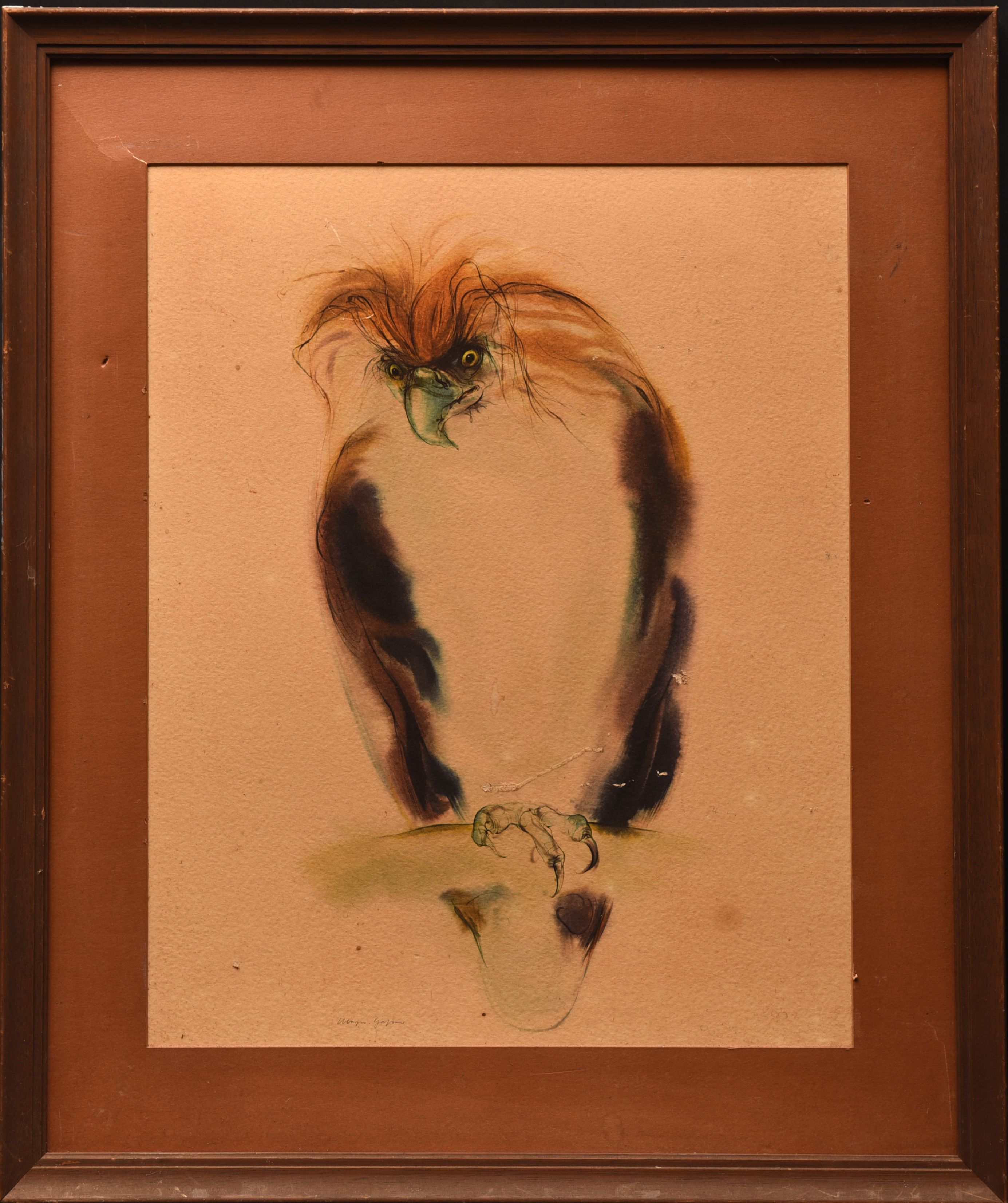 watchful gaze (Philippine Eagle) Drawing