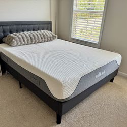Queen Bed and Mattress (6 month old)