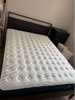 Bed frame and Mattress