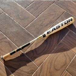 Easton Xl Hybrid 31 Inch 28 Oz Baseball Bat