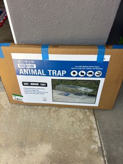 Animal trap
