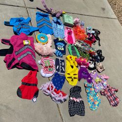 HUGE LOT Of Dog Accessories 